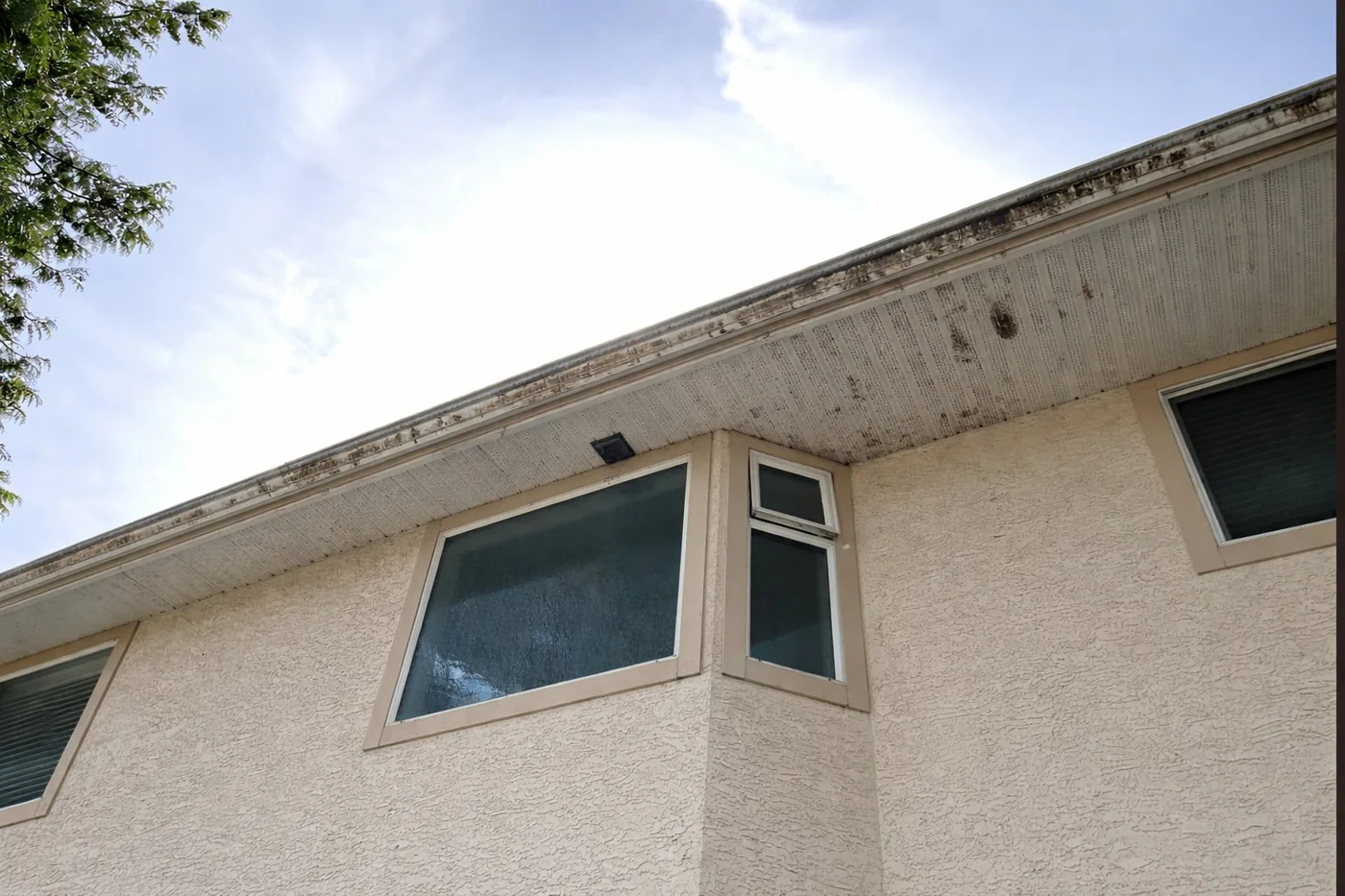 Before gutter cleaning & whitening
