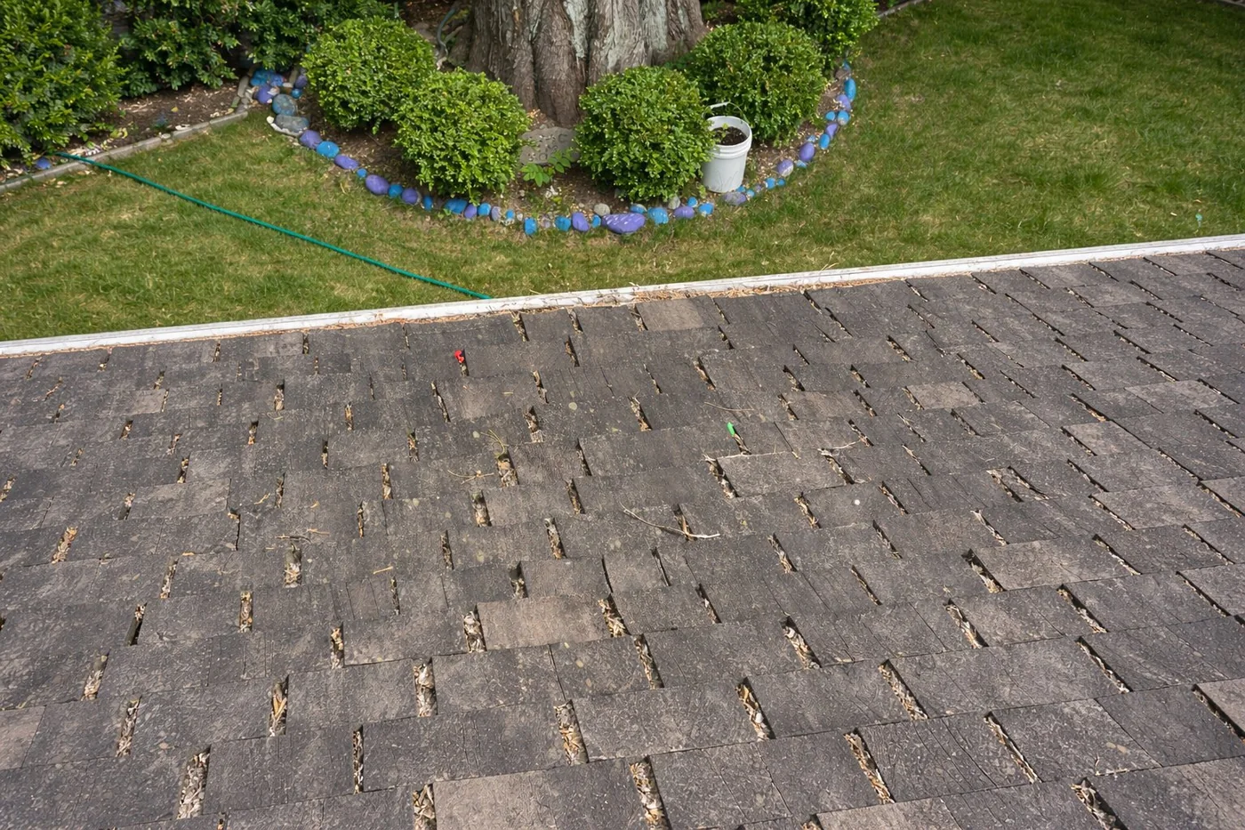 Before roof cleaning