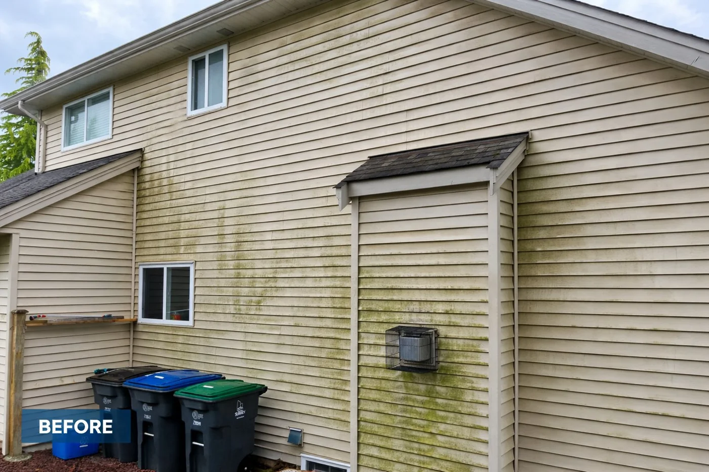 Before siding soft wash