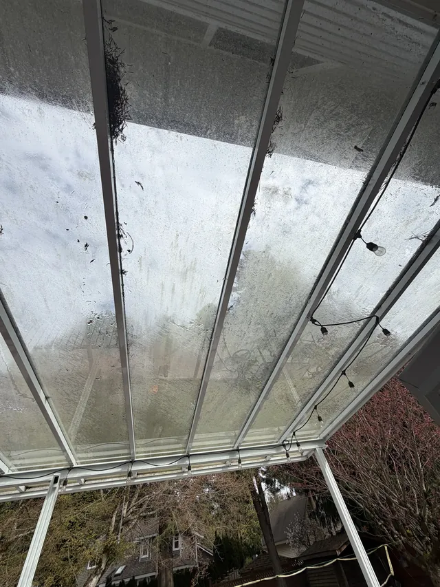 Glass canopy with visible surface buildup before cleaning.