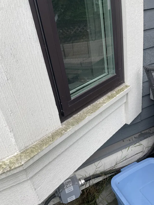 Exterior window sill with visible surface buildup.