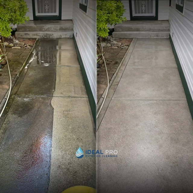 Supplied side-by-side walkway photos: cleaning in progress at left and the finished surface at right, with matching steps, siding and garden.