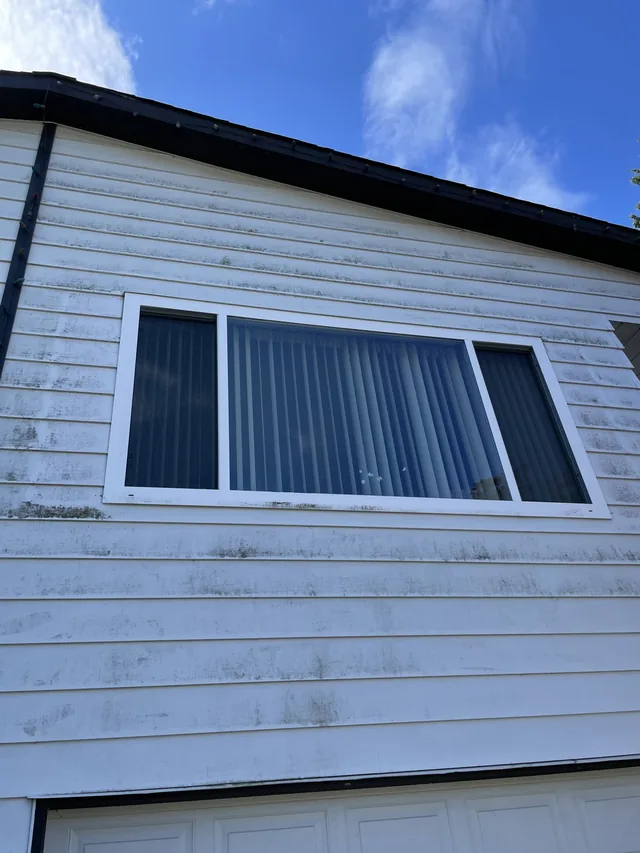 Surface buildup on white siding around the window and garage.