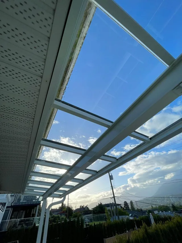 A view up through the glass canopy.