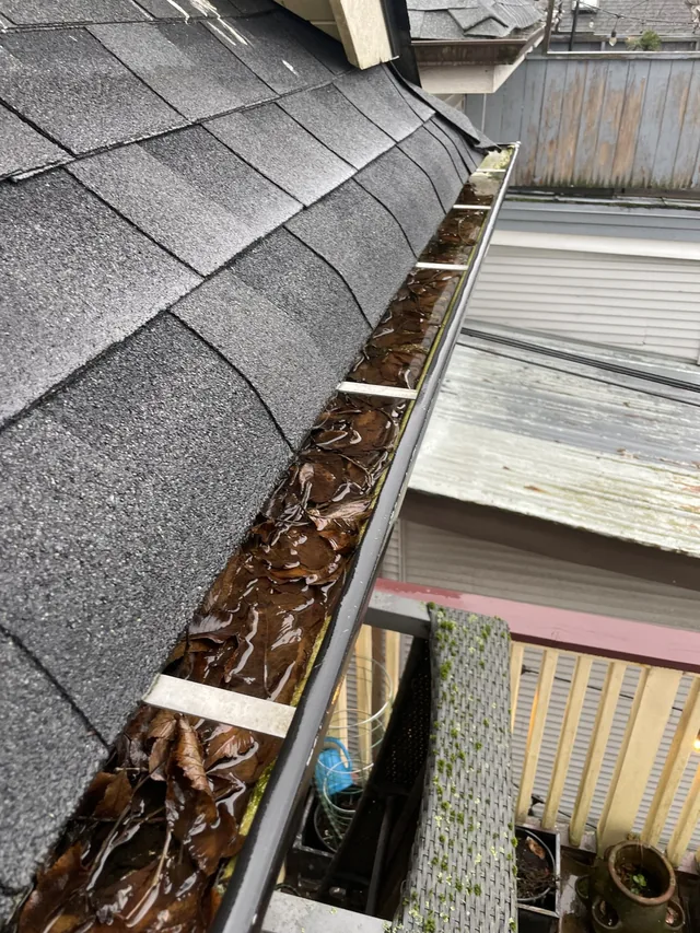Before cleaning: additional angle for the existing leaf-filled gutter story.