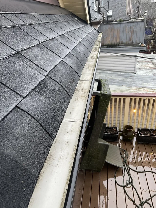 After cleaning: additional angle for the existing leaf-filled gutter story.
