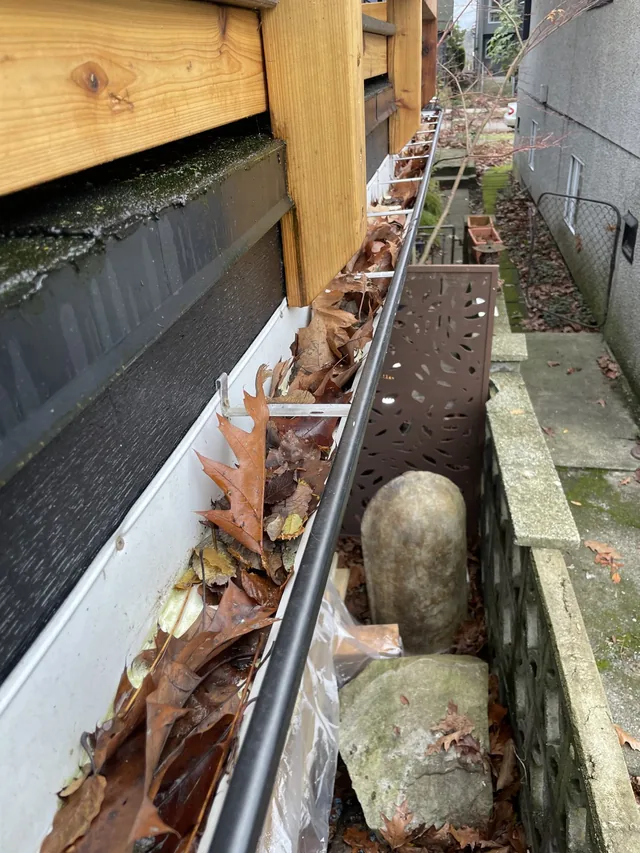Before cleaning: leaves cleared beside the garden.