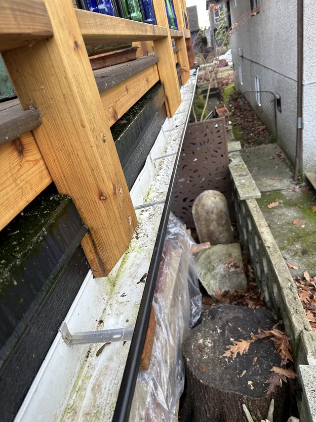 After cleaning: leaves cleared beside the garden.