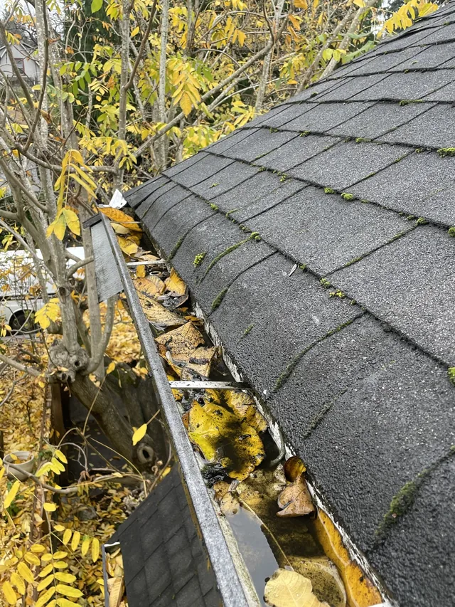 Before cleaning: gutter channels cleared around a red-sided home.