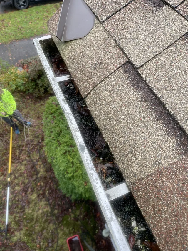 Before cleaning: a clearer gutter at the roof corner.