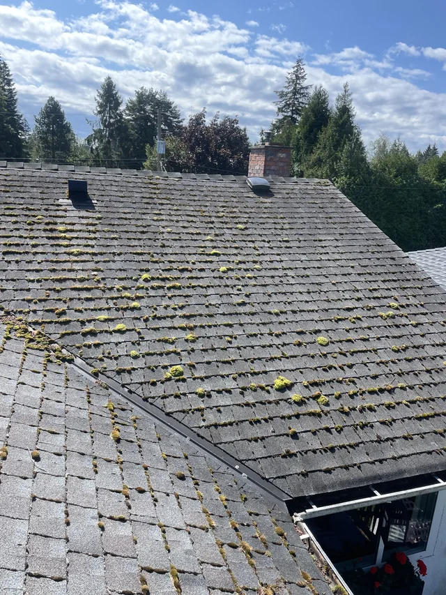 Earlier view of visible moss reduction across the roof.