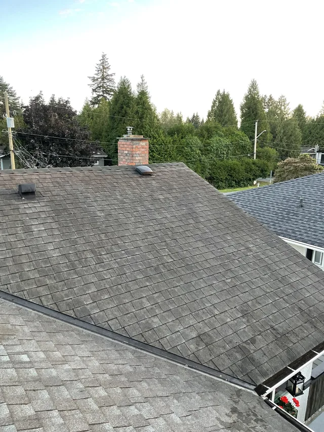 Later view of visible moss reduction across the roof.