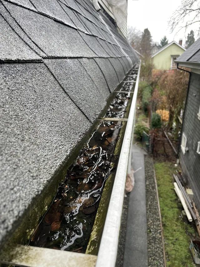 Before cleaning: leaves cleared along a grey-shingle roof.