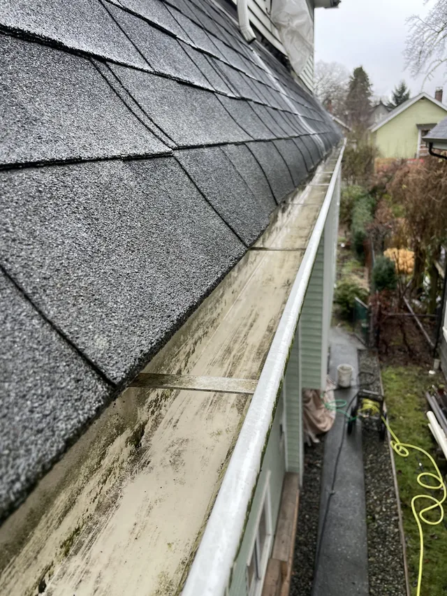 After cleaning: leaves cleared along a grey-shingle roof.