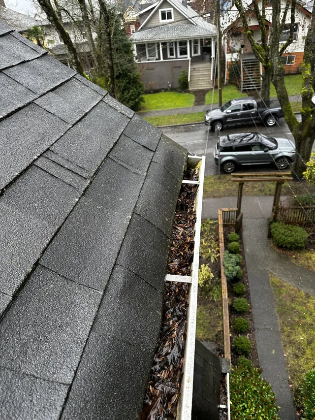 Before cleaning: leaves cleared along a grey-shingle roof.