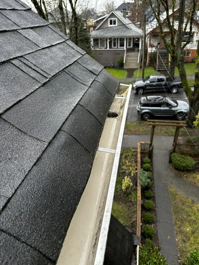 After cleaning: leaves cleared along a grey-shingle roof.