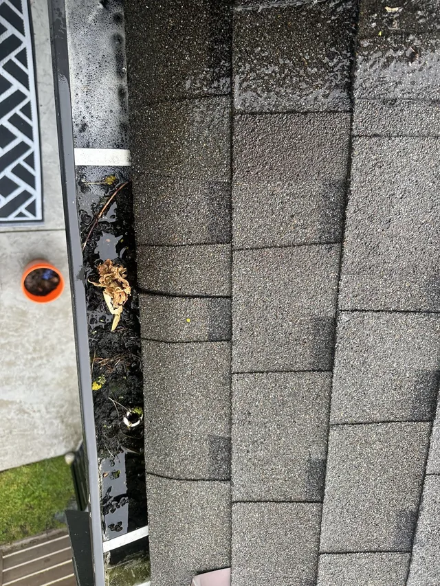 Before cleaning: gutter debris removal around a white-sided home.