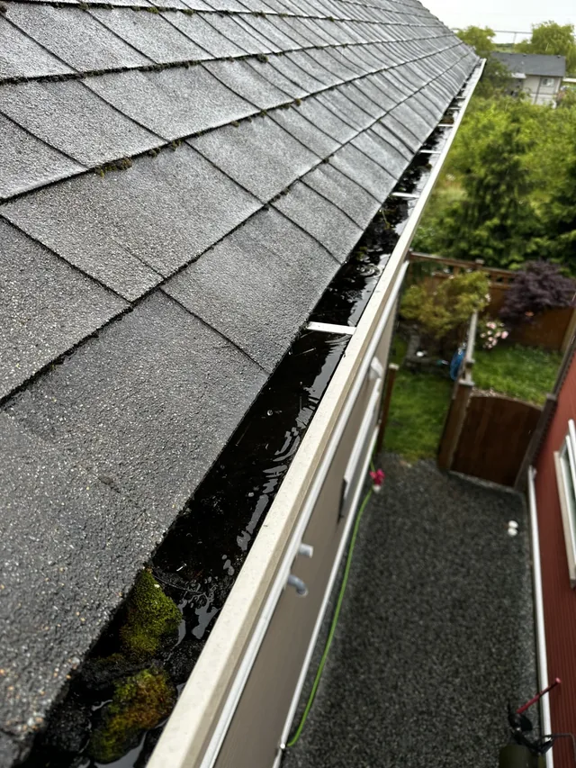 Before cleaning: debris cleared from long gutter runs.