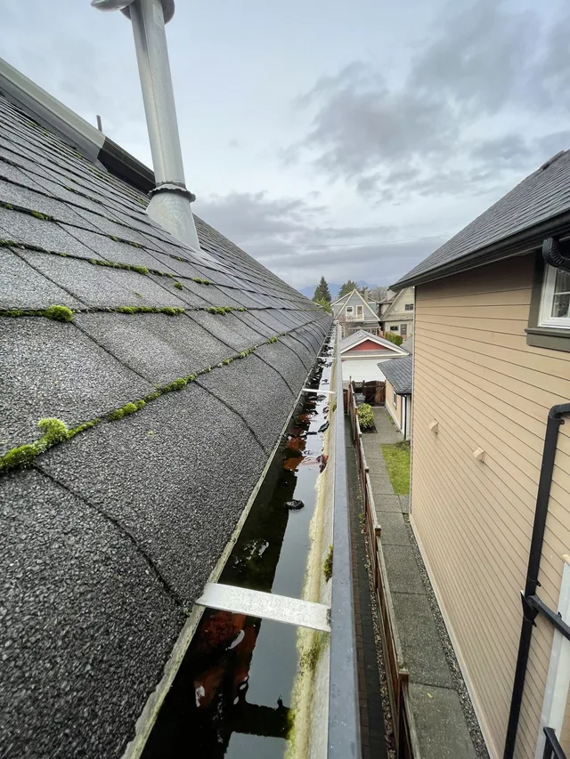 Before cleaning: gutter channels cleared beside a mossy roof.