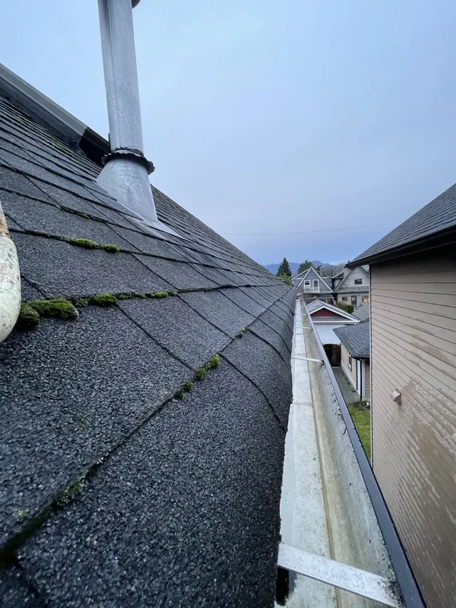 After cleaning: gutter channels cleared beside a mossy roof.