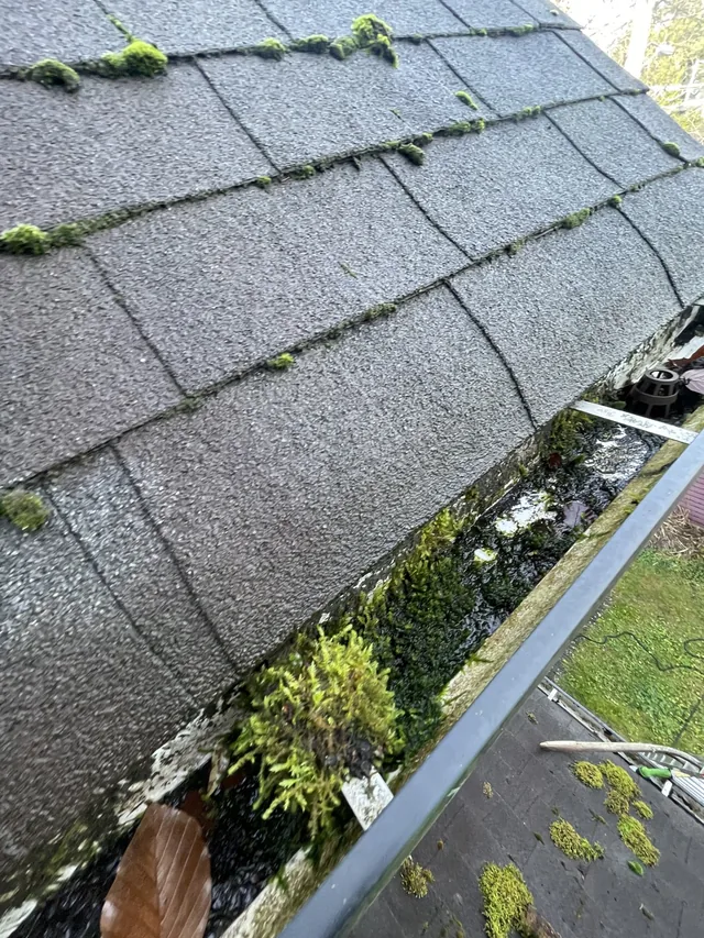 Before cleaning: gutter channels cleared beside a mossy roof.