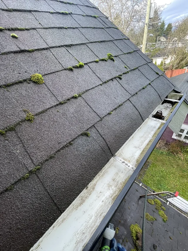 After cleaning: gutter channels cleared beside a mossy roof.