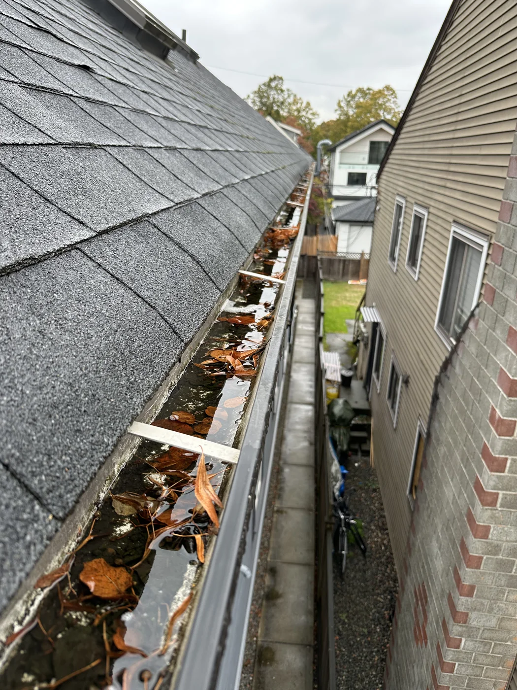 Leaf buildup along the upper gutter before cleaning